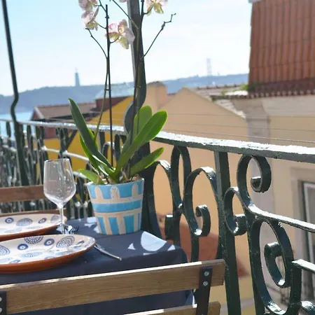 Chiado Blue By Homing *